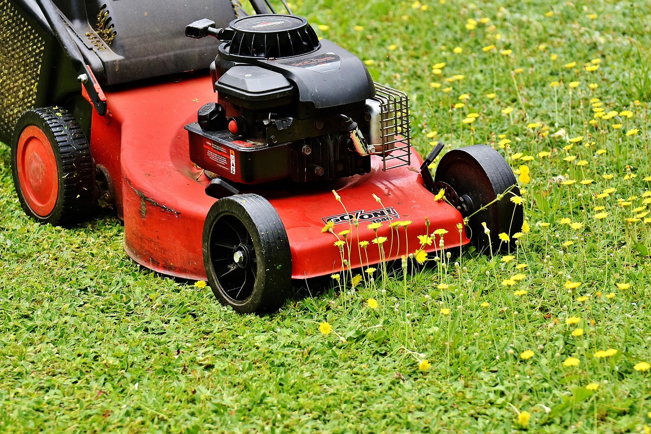 lawn mower, mow, cut the lawn, green, meadow, gardening, grassy area, to cut, cut grass, nature, grass, garden, blades of grass, lawn mower, lawn mower, lawn mower, lawn mower, lawn mower, cut the lawn