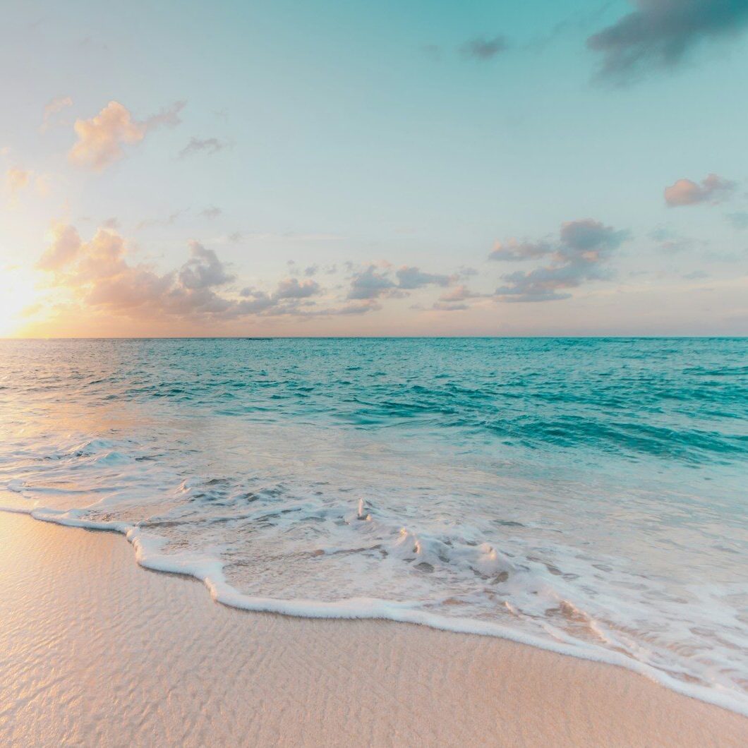 seashore during golden hour